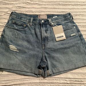 Everlane Blue Jean Shorts High-Waisted Distressed